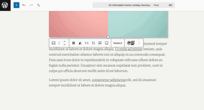 Show Hidden Block WordPress 6.9