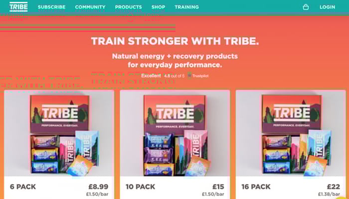 Best Modern Website Color Schemes - Coral And Turquoise