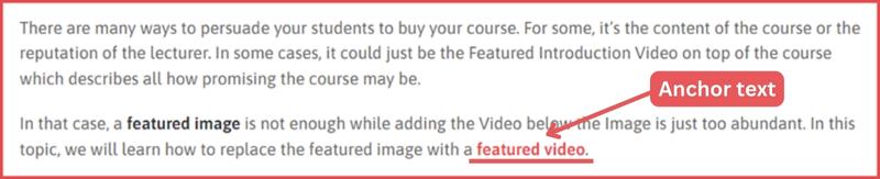 Internal Linking Strategy for SEO: The Comprehensive Guide 5 Internal Linking Strategy: Anchor Text for Internal Link Example