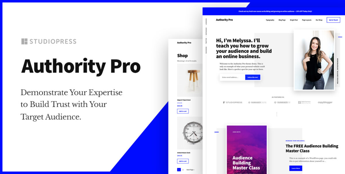 Top 10 Most Popular And Best Wordpress Themes 16 Best WordPress Themes: Authority Pro