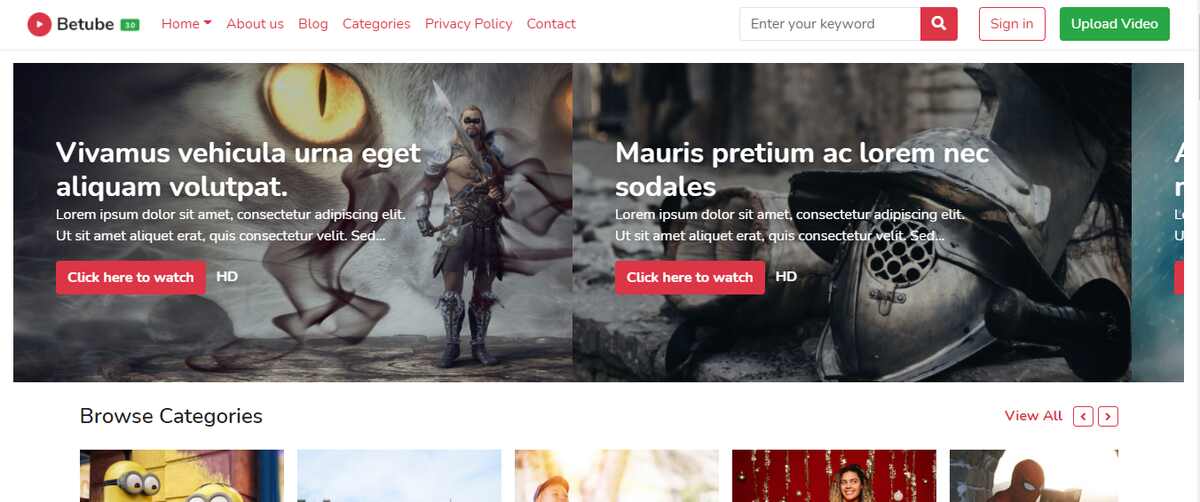 8+ Best WordPress Video Themes 16 BeTube