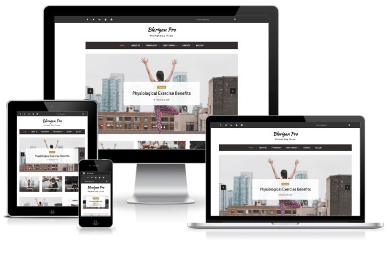 4 Types of Blog Themes That Most Popular for WordPress Users 15 blorigan pro