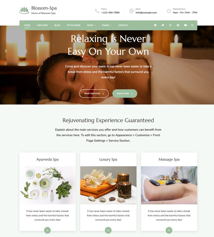 11 Best Free Landing Page WordPress Themes 17 blossom spa