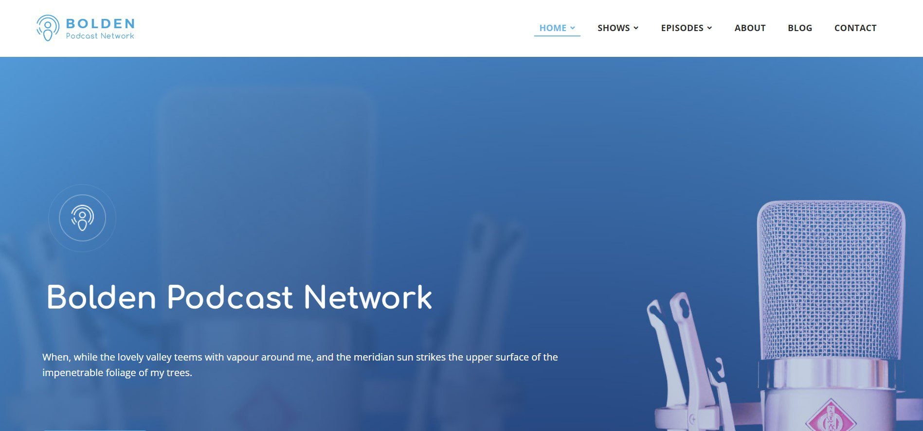 The 20 Best Responsive WordPress Themes 35 bolden a black sheep in the most responsive wordpress theme