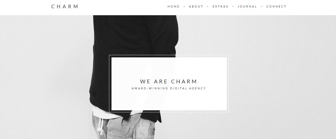 TOP +30 Best WordPress Portfolio Themes 61 charm