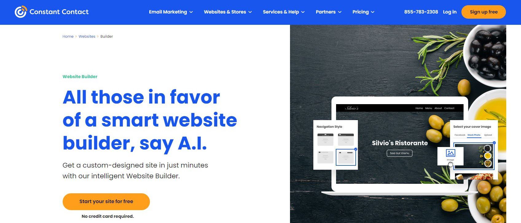 15+ Most Popular WordPress Plugins 19 constant contact the most popular wordpress plugins for email