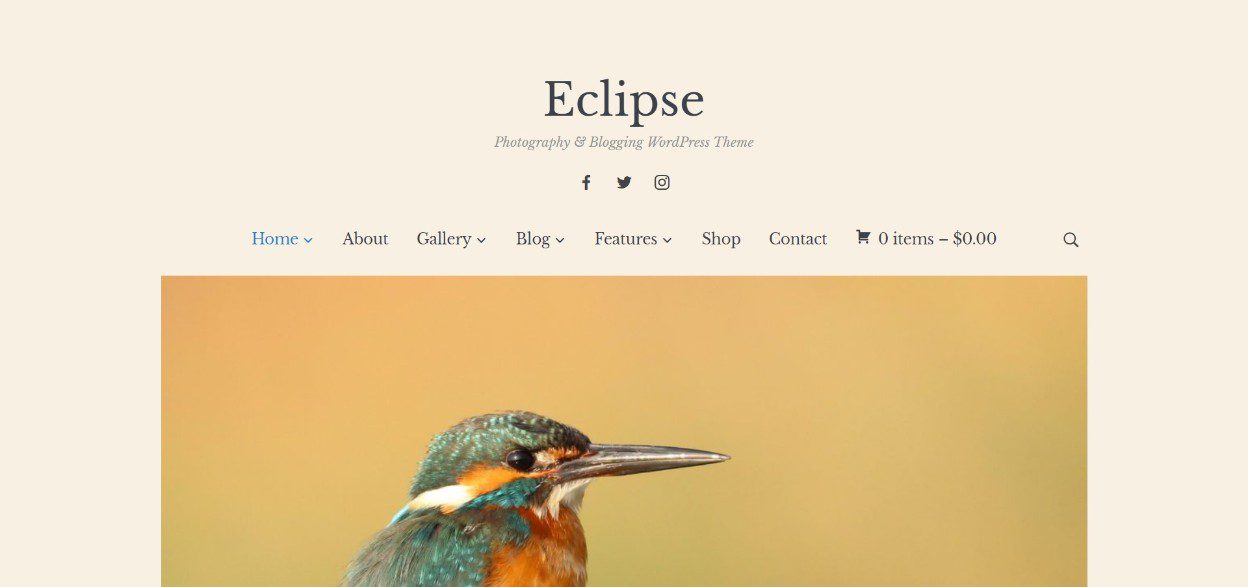 The 20 Best Responsive WordPress Themes 40 eclipse