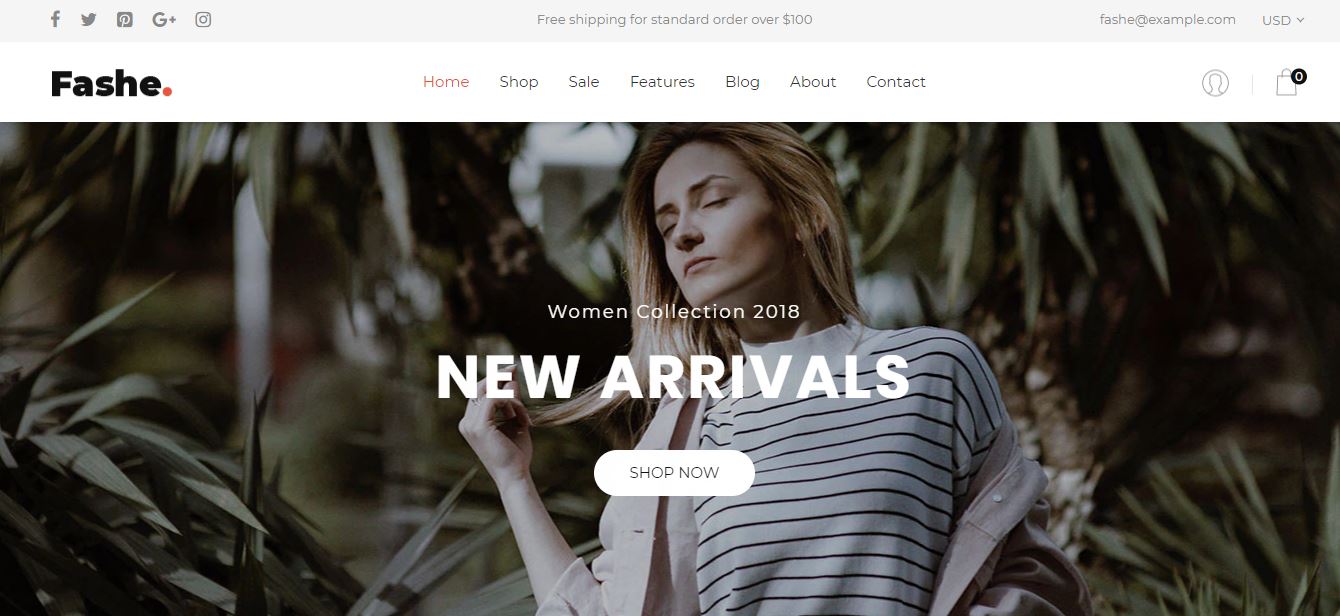TOP 20 Best Free Shopify Themes for Online Store 37 fashe