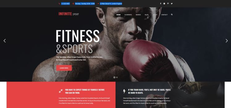 Best 5 Personal Trainer WordPress Themes 8 infinite