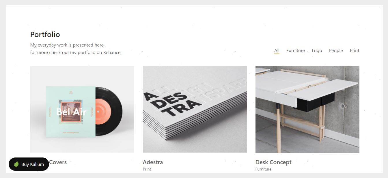 TOP +30 Best WordPress Portfolio Themes 36 kalium wordpress portfolio themes