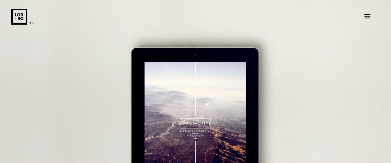 TOP +30 Best WordPress Portfolio Themes 63 lobo