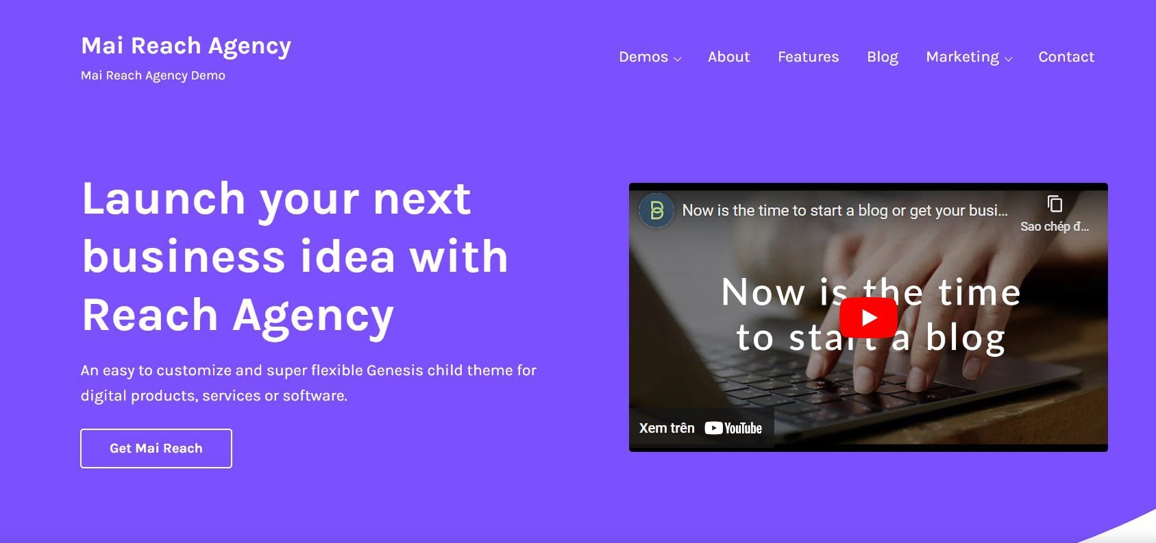 The 20 Best Responsive WordPress Themes 38 mai reach