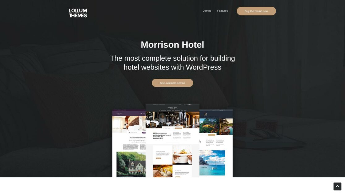 Top 8 Ideal Hotel WordPress Themes 14 morrison hotel