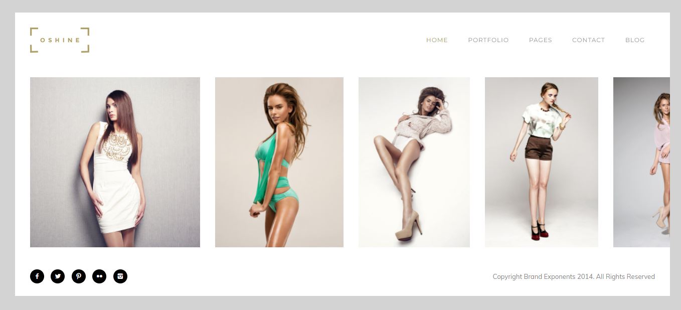 9+ Best WordPress Photography Themes 11 oshine wordpress photography themes