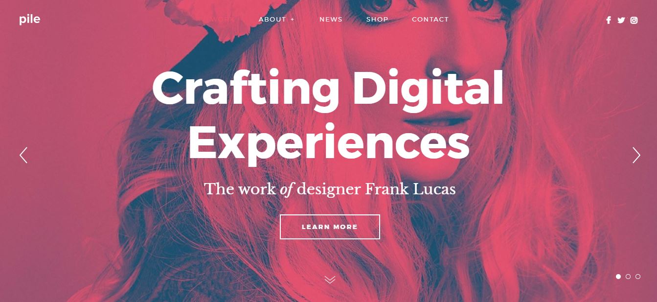 TOP +30 Best WordPress Portfolio Themes 51 pile