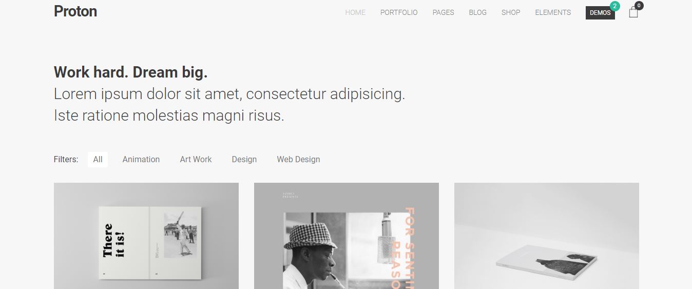 TOP +30 Best WordPress Portfolio Themes 55 proton
