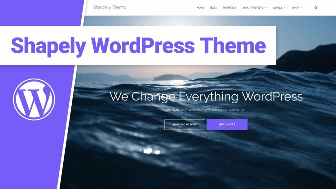 How to Create a Website with WordPress Themes 17 shapely wordpress theme