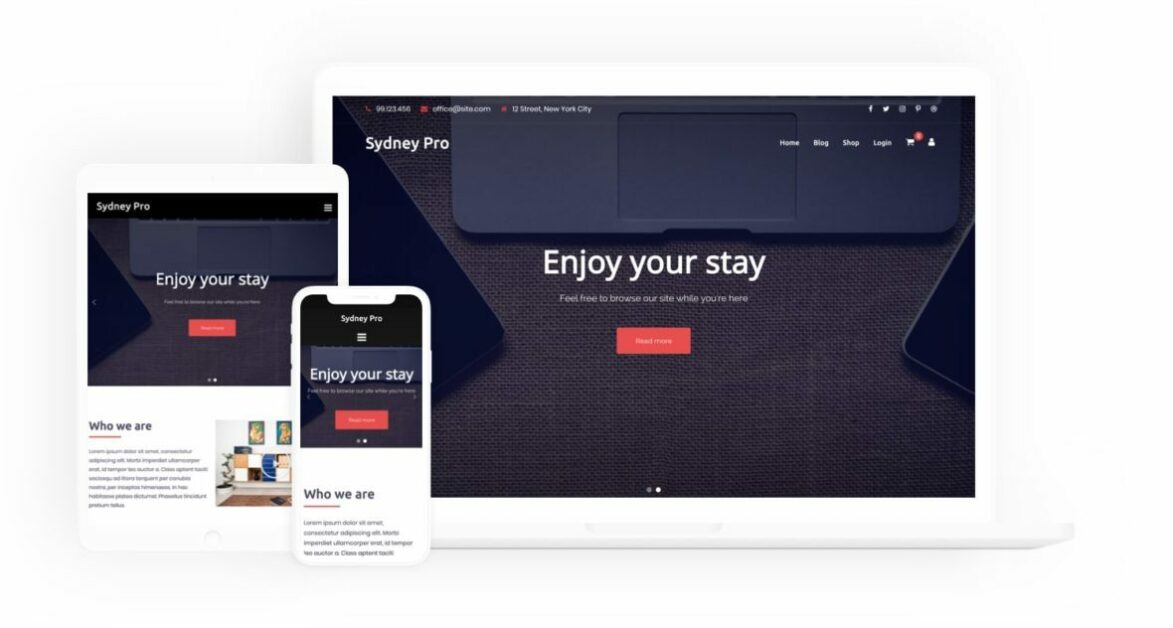 Top 10 Most Popular And Best Wordpress Themes 17 Best WordPress Themes: Sydney Pro