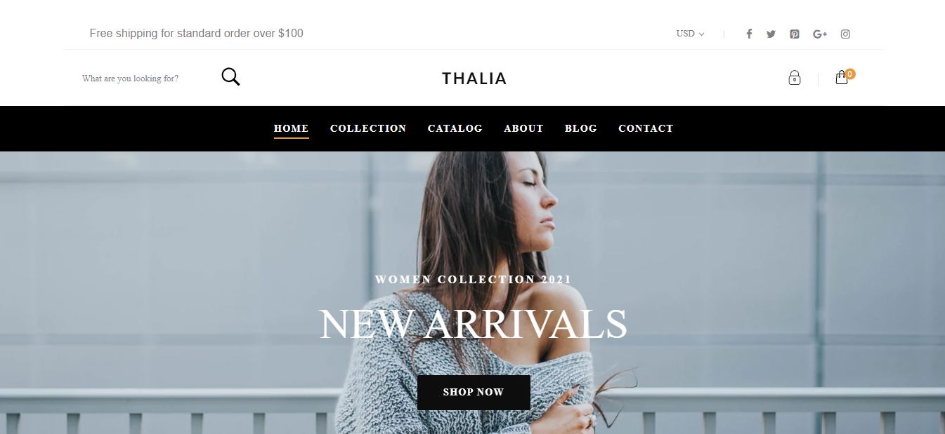 TOP 20 Best Free Shopify Themes for Online Store 38 thalia free shopify themes download