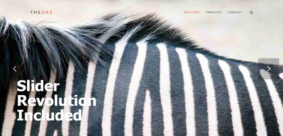 8+ Best One Page WordPress Themes 16 TheOne