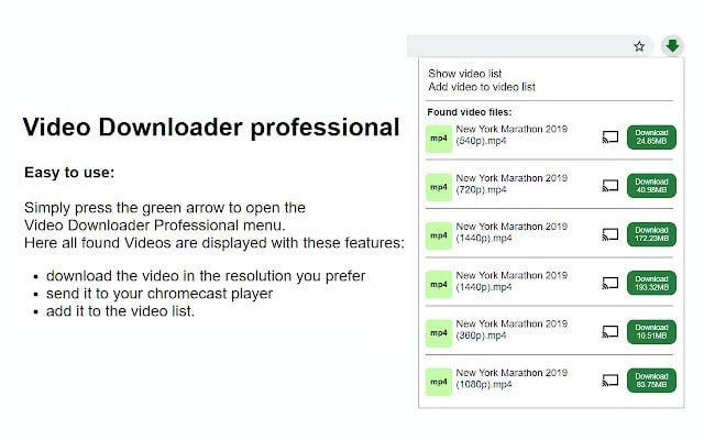 video downloader professional