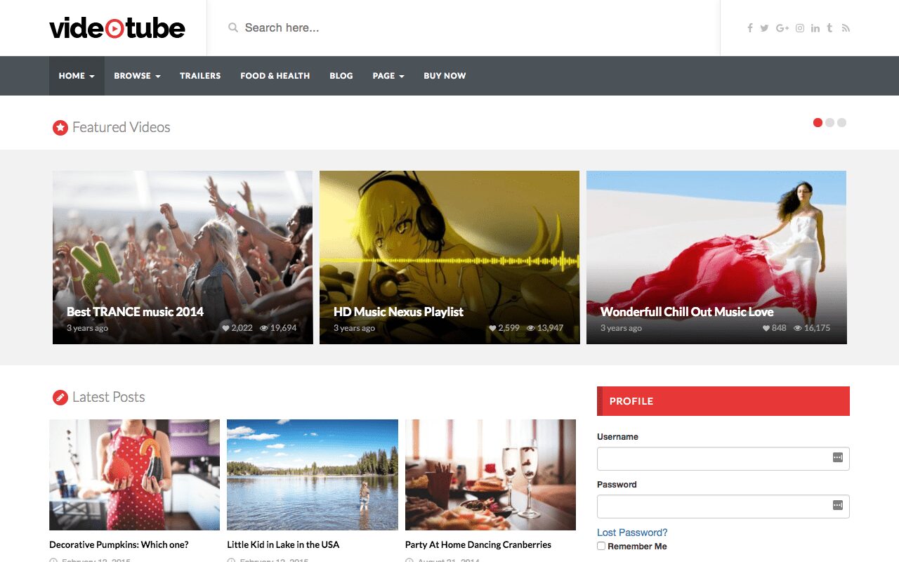 4 Types of Blog Themes That Most Popular for WordPress Users 17 videotube