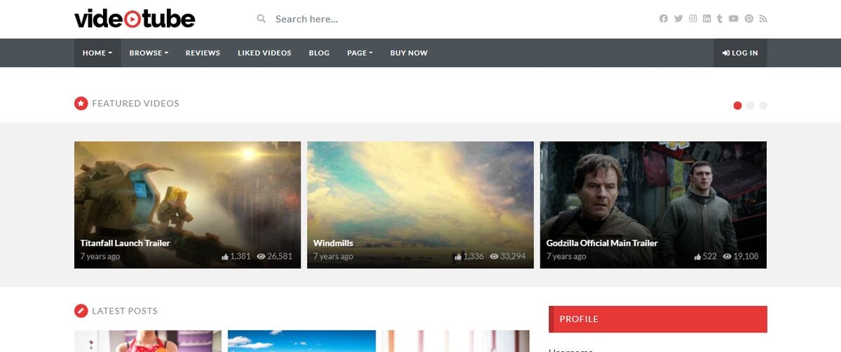 8+ Best WordPress Video Themes 13 VideoTube