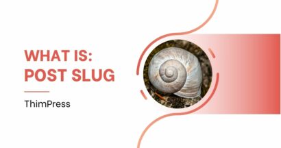 What is Post Slug in WordPress? How to write SEO friendly slugs? 11 What is Post Slug?