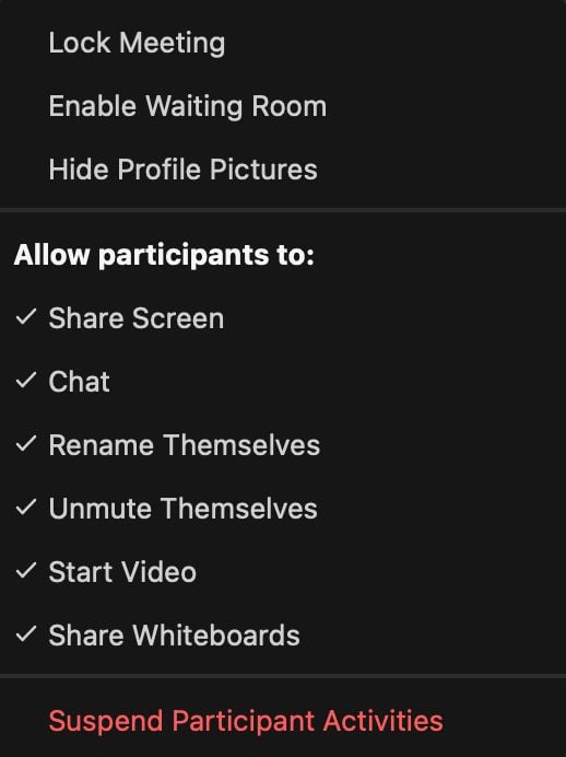 Google Meet vs. Zoom: Which Is Better for Your Business? 22 Zoom Security
