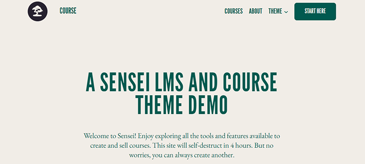 8 Best Options For Online Course Websites 10 Course