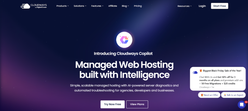 6 Best Hosting for LMS Website 9 Cloudways