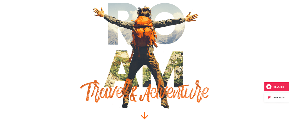 Top 30 Travel WordPress Themes (Expert-Picked) 47 Roam