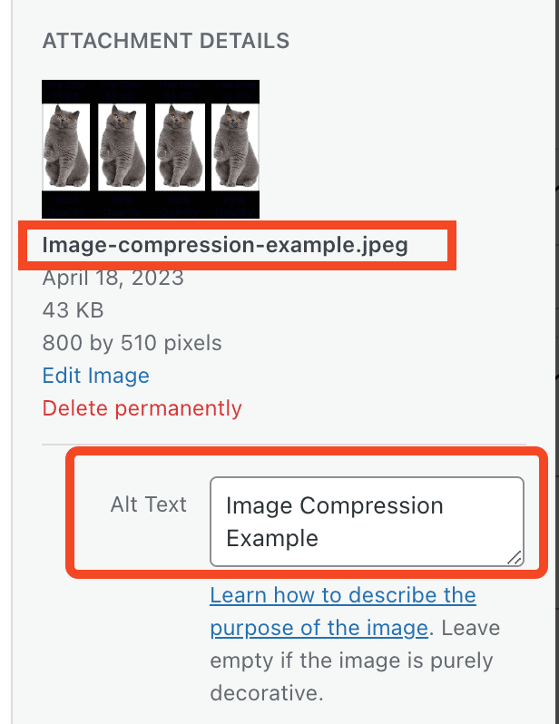 WordPress Image Sizes: 5 Best Tips For SEO Optimization 12 WordPress Image ALT Text