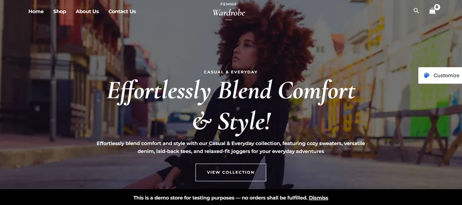 10+ Best eCommerce Website Templates 13 Astra