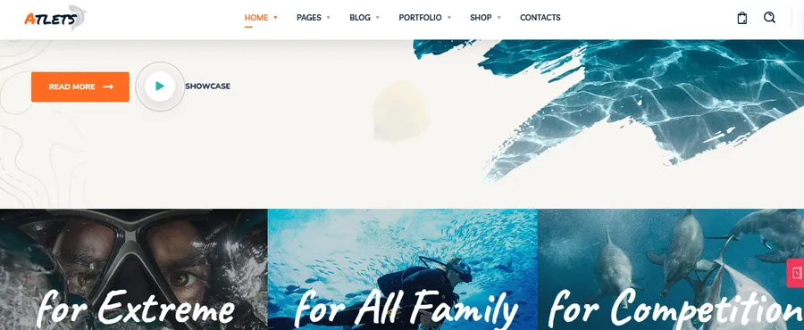 8+ Best Snow WordPress Themes 16 Atlets