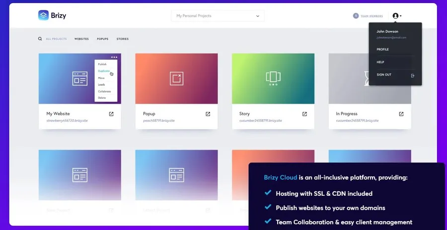10+ Best AI WordPress Themes: Power Your Website with Intelligence 13 Brizy AI