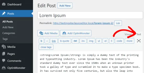 How to Edit HTML in WordPress Classic Editor