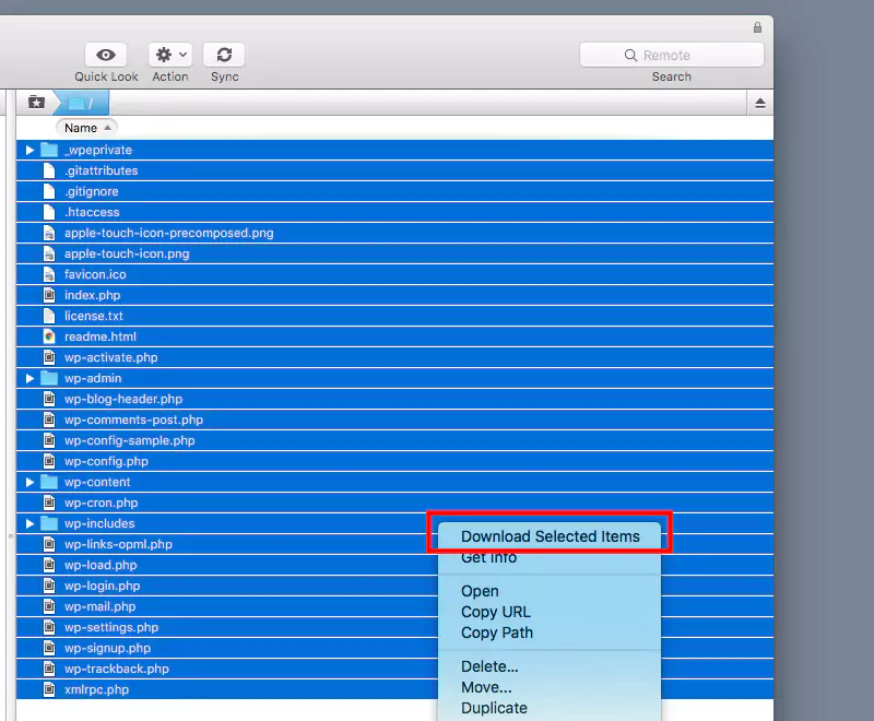How to Back Up Your WordPress Site: 3+ Simple Methods 21 Copy File SFTP