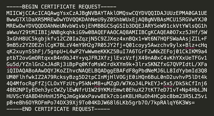 How to Renew SSL Certificate (3 Simple Steps) 26 CSR Code Example