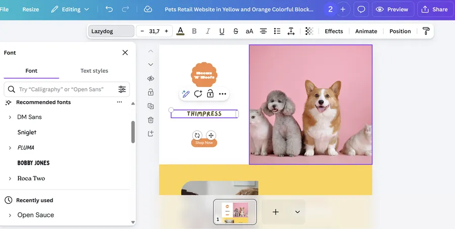 Customizing the Visual Elements