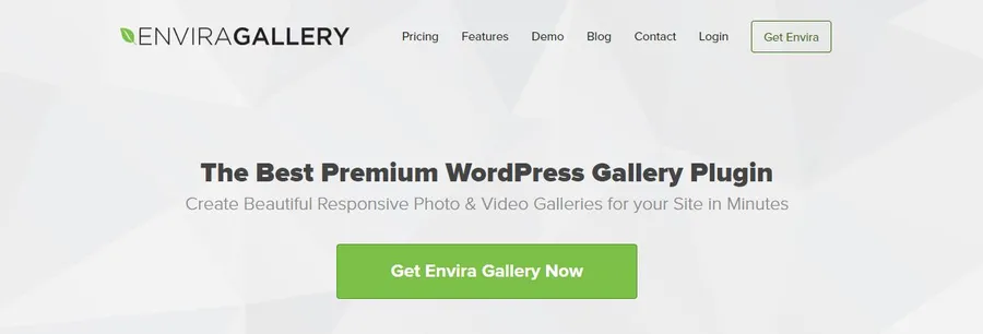 6+ Best WordPress Content Protection Plugins 10 Envira Gallery
