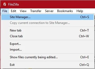 How to Update Theme Without Losing Customizations 10 Filezilla Site Manager Edit Robots.txt In WordPress