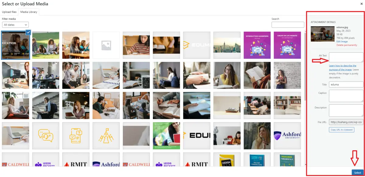 Image Alt Text: What You Need to Know 17 Fill Box Alt Text in Replace