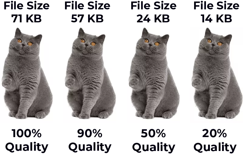 WordPress Image Sizes: 5 Best Tips For SEO Optimization 10 Image Compression Example