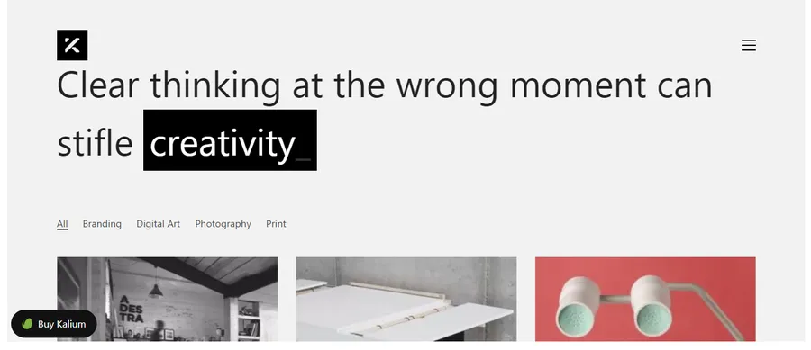 10+ Best Portfolio WordPress Themes 15 Kalium