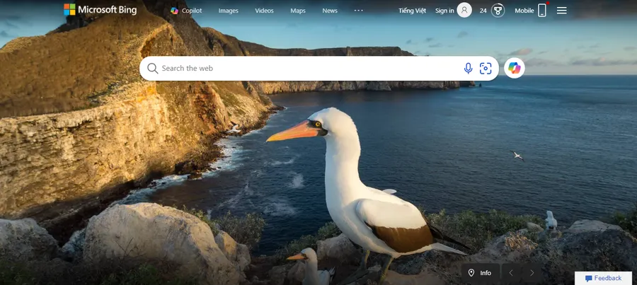 11 Best Search Engine Alternatives to Google 12 Microsoft Bing