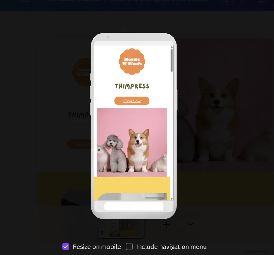 Mobile Optimization and Previewing