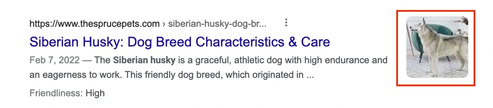 PC Text Result Images