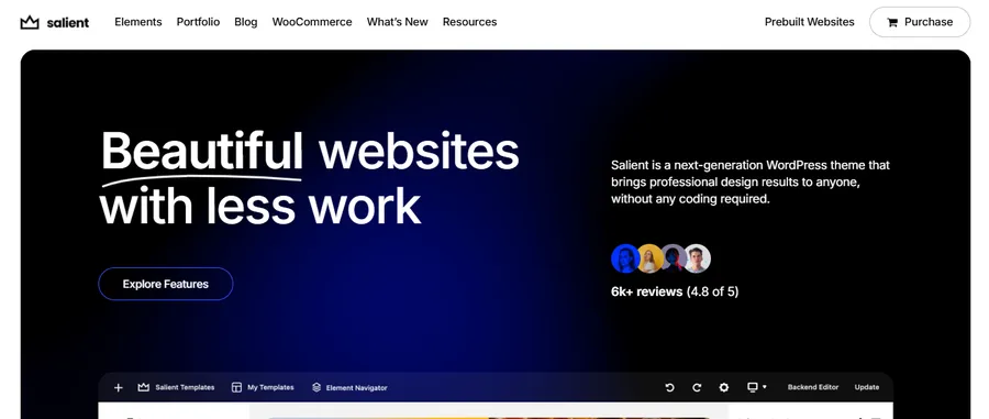 7 Best Multipurpose WordPress Themes for Business Growth 14 Salient