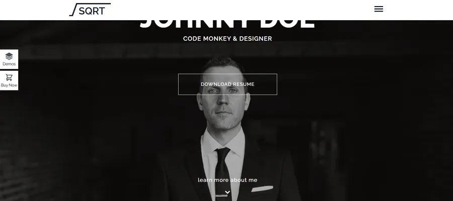 7+ Best Free and Paid WordPress Resume Themes 7 Squareroot